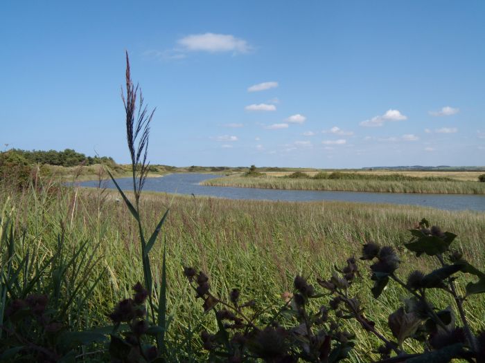 Looking over Broadwater from the NOA hide with disabled access - Photo Tony Foster