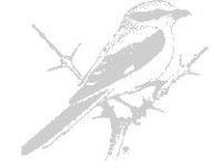 Norfolk Ornithologists' Association logo