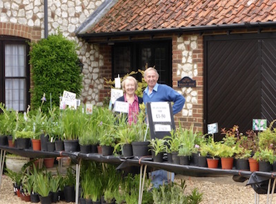 Plant Stall - Open Gardens 2015 - Photo Tony Foster