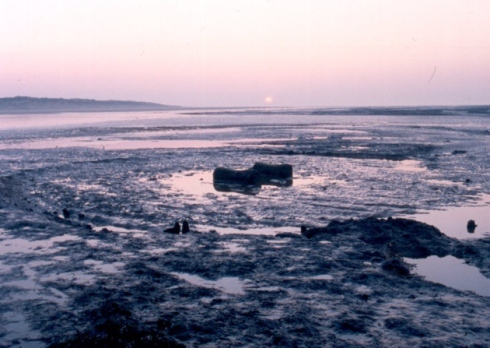 Seahenge, Holme-next-the-Sea beach. Photo by NPS Archaeology - February 2003