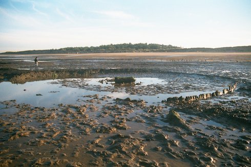 Seahenge II, Holme-next-the-Sea beach. Photo by Vince Matthews - 8th December 2003