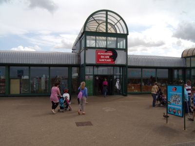 Sea Life Centre and Seal Sanctuary, Hunstanton - Photo Tony Foster