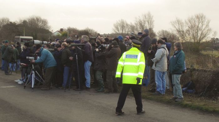 The 'twitch' for the White-crowned Sparrow at Cley-next-the-Sea January 2008 - Photo Tony Foster