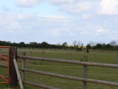 Meadowgate
