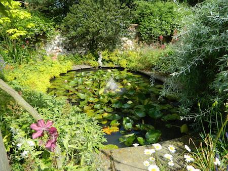 A garden in Holme-next-the-Sea open for the visitors
