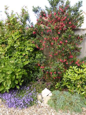 A garden open for the visitors in Holme-next-the-Sea