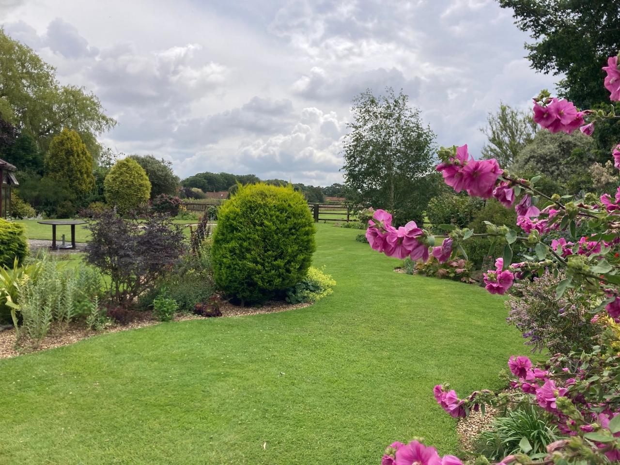 A sweeping lawn edged with deep borders and pink mallow