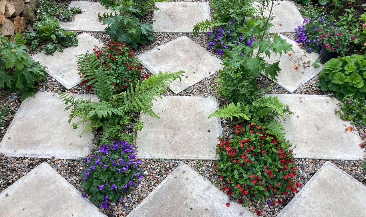 Paving slabs laid in a chequerboard pattern, planted with ferns and bedding