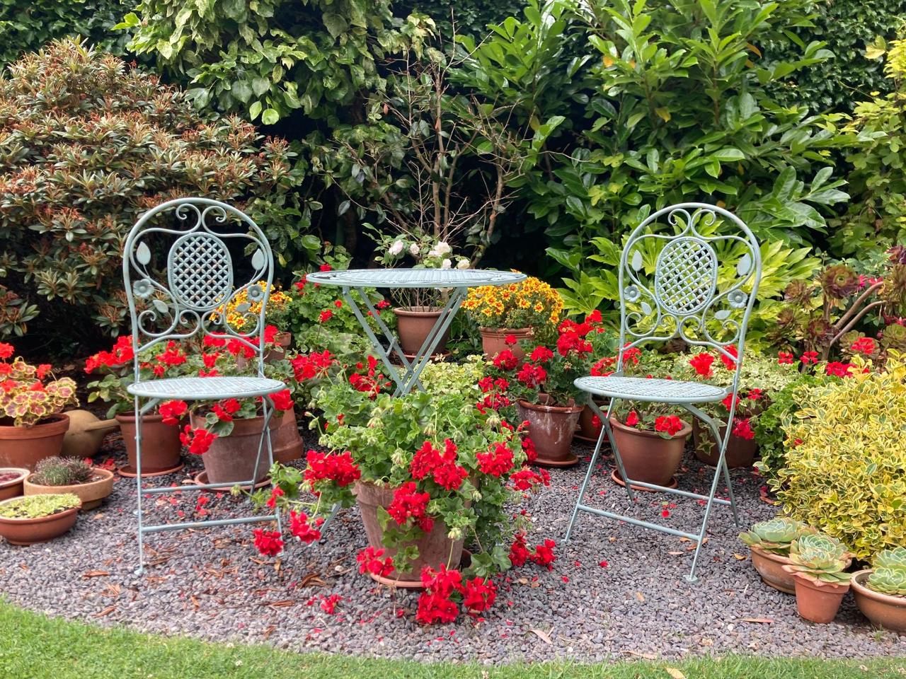 A pair of ornate metal café chairs surrounded by pots of red pelargoniums