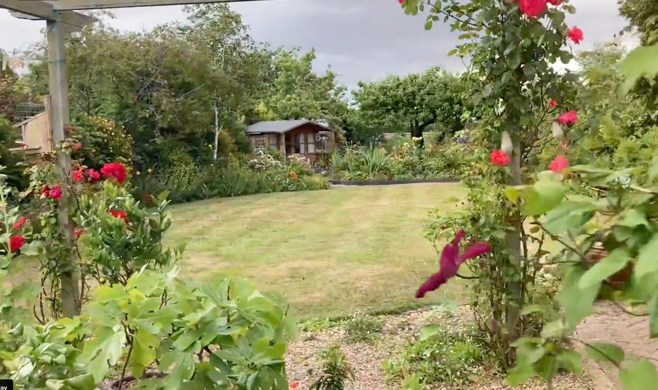 View across a lawn towards a garden shed, framed by climbing roses