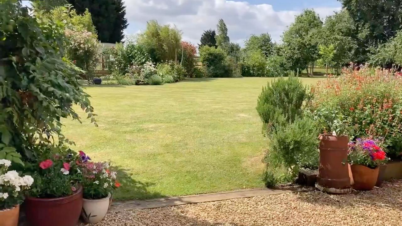A wide lawn with planted terracotta pots in the foreground