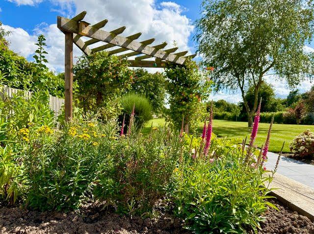 A timber pergola above a colourful perennial border