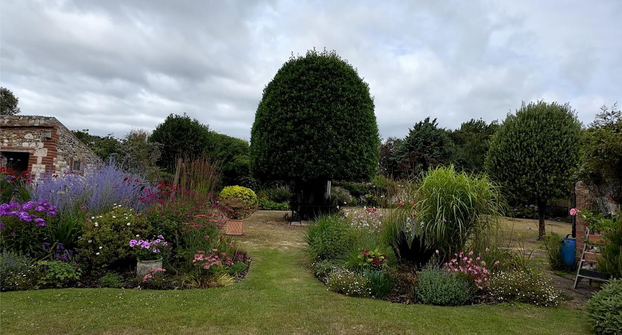Colourful island beds around a clipped tree