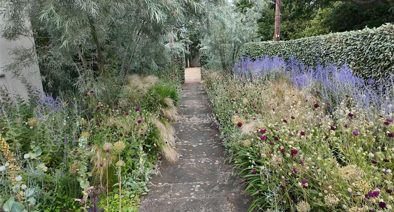 A gravel path between naturalistic borders of grasses and perovskia