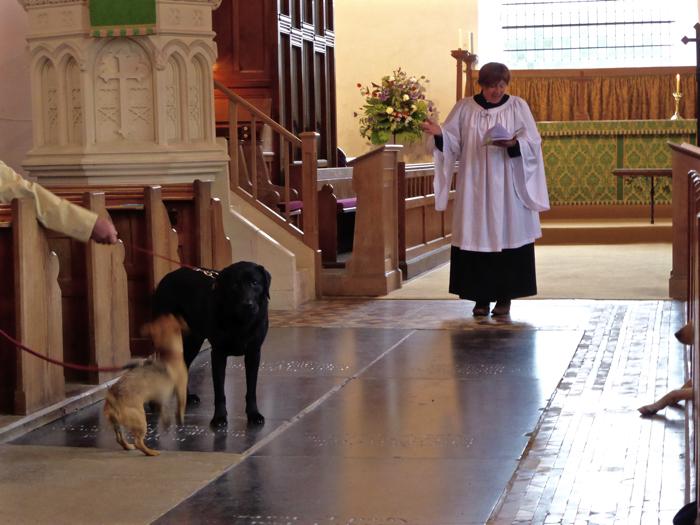 Service for pets and owners at St. Mary's church