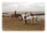Ponies on Hunstanton beach