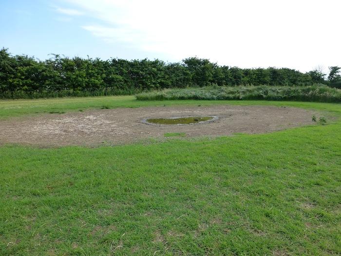 Scrape recently excavated