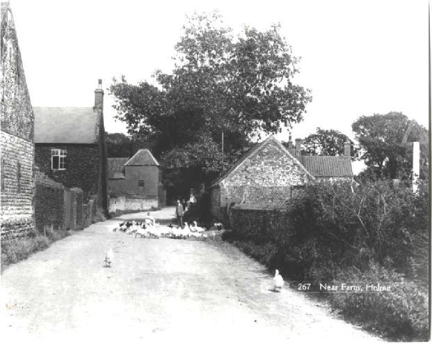 Holme Near farm