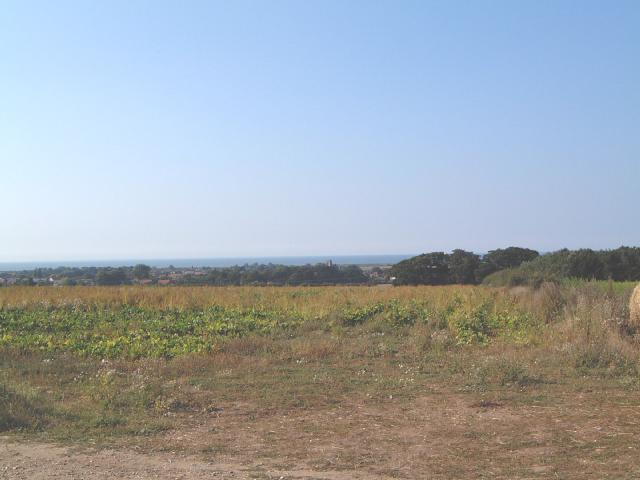 Baney's Piece from the Top