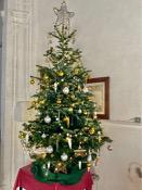 Christmas 2023 in St. Mary's Church