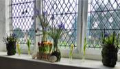 Easter 2023 in St. Mary's Church