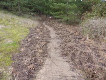 National Trails coastal path