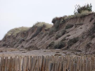 Dune erosion at The Firs