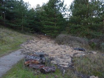 National Trails path through The Firs