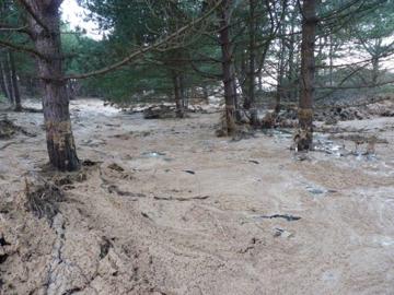 Mucky spume deposit