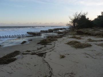 Dune fencing damage