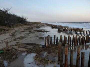Dragon's tooth fencing still standing