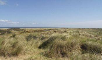 The dunes and Marram grass, Holme-next-the-Sea