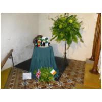 Open Gardens 2012 in St. Mary's Church
