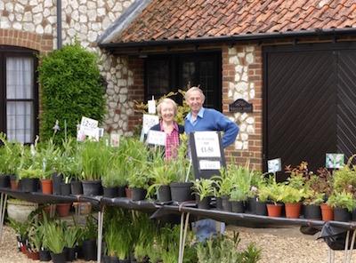 Plant Stall - Open Gardens 2015