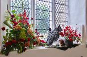 Open Gardens 2019 in St. Mary's Church