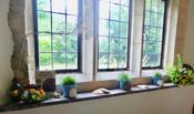 Open Gardens 2019 in St. Mary's Church