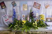 Open Gardens 2019 in St. Mary's Church