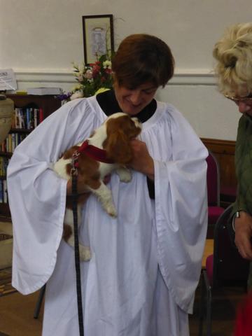 Service for pets and owners at St. Mary's church