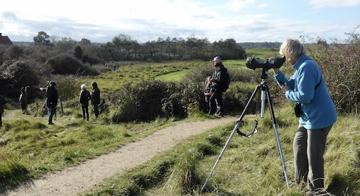Birders watching the Red-flanked Bluetail