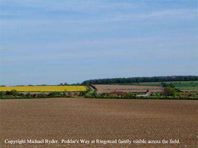 Peddar's Way visible as crop marks in field at Ringstead