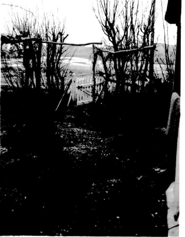 The floods of 1953