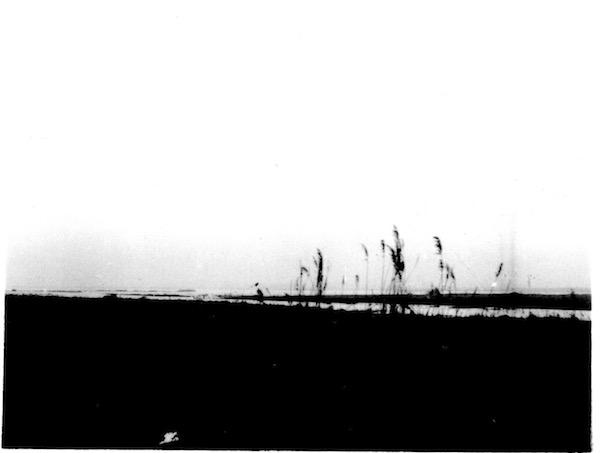 The floods of 1953