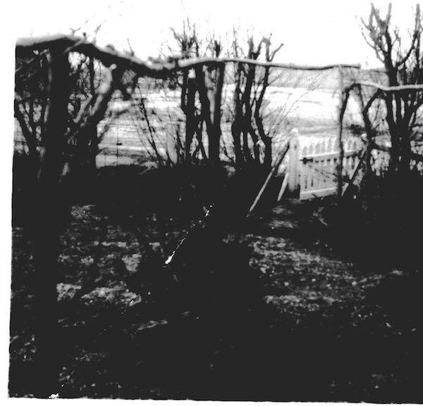 The floods of 1953