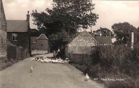 Outside Home Farm Stables
