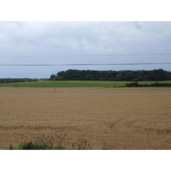 View from Newholme Cottage over surrounding fields