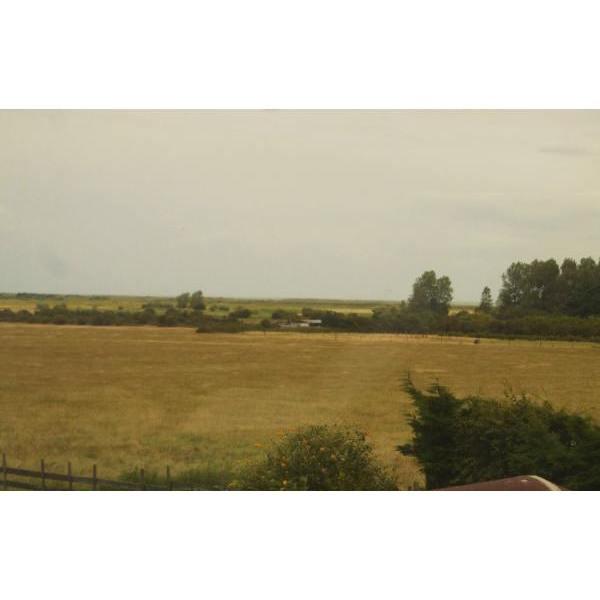 View from Newholme Cottage over pasture towards the marshes