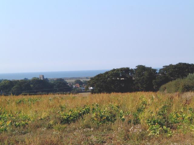 Baney's Piece from the Top