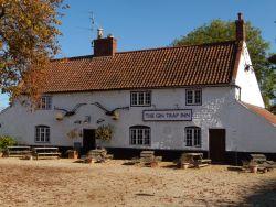 The Gin Trap, Ringstead