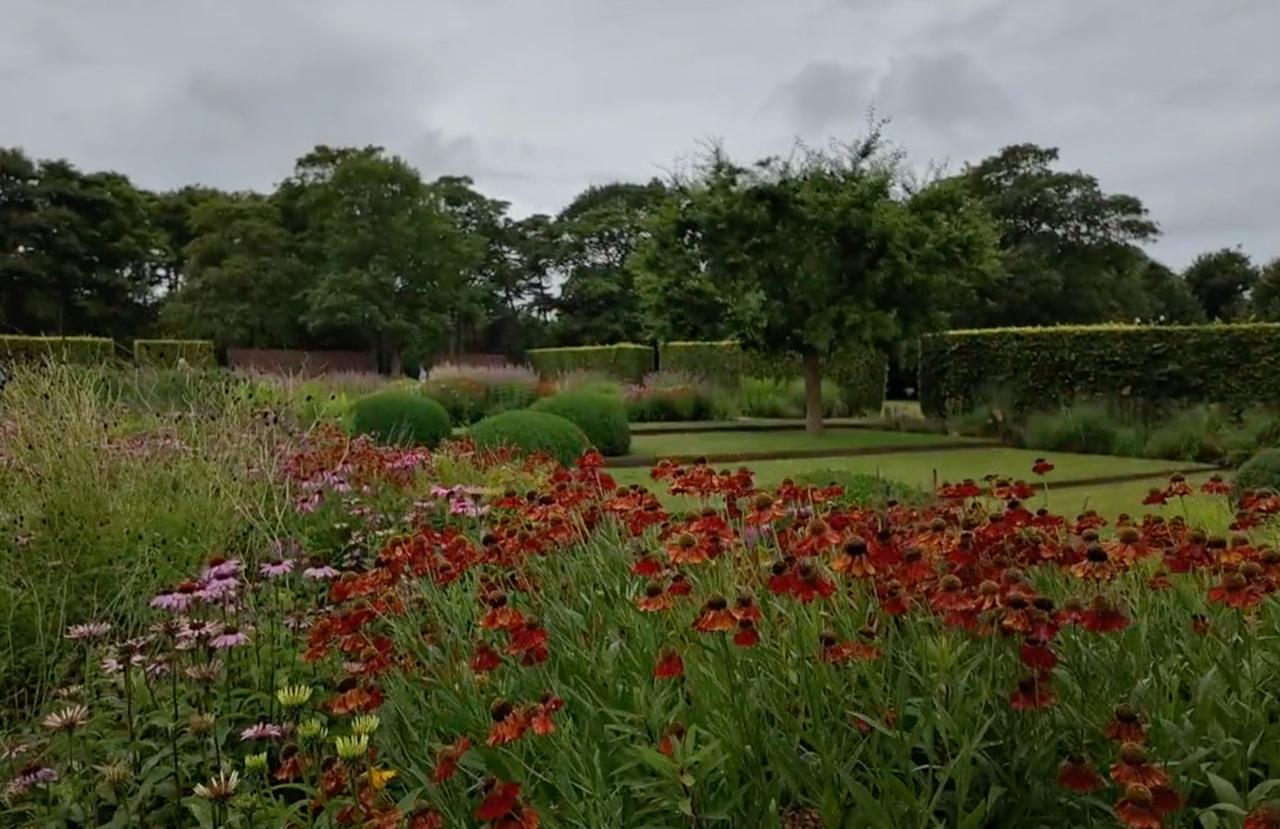 A formal garden with drifts of heleniums and echinacea in front of clipped hedges
