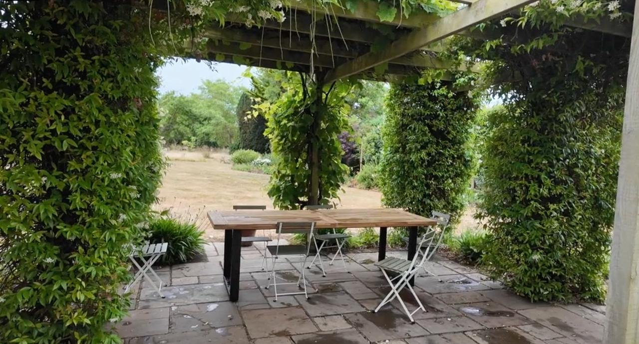 A table and chairs beneath a vine-covered pergola